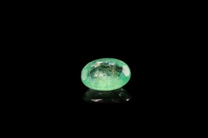 null Oval emerald on paper.
Weight : 0.67 ct

Dimensions : 7mm x 5mm