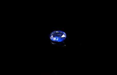 null Oval blue sapphire on paper.
Weight : 0.21 ct

Dimensions : 4.3mm x 3mm
