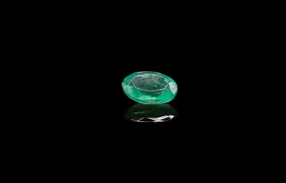 Oval emerald on paper. 
Weight : 0.59 ct....