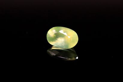 null Green prehnite oval on paper.
Weight : 2.79 cts

Dimensions : 11.2mm x 7.3m...