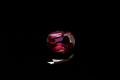 null Oval rhodolite garnet on paper. 
Weight : 1.68 ct. 

Dimensions : 7.5mm x 5...