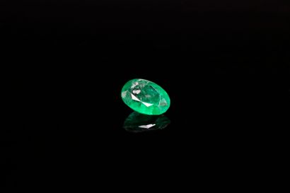 null Oval emerald on paper. 
Weight : 0.61 ct

Dimensions : 6.5mm x 5mm