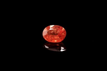 null Oval bright orange garnet on paper. 
Weight : 1.40 ct. 

Dimensions : 7.5mm...