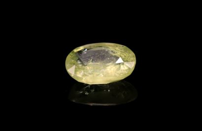 null Pale green oval sapphire on paper. 
Probably not heated.
Weight : 2.33 cts....