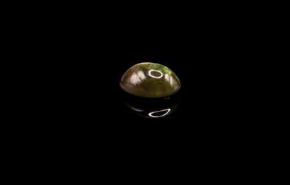 null Dark green sapphire oval cabochon on paper. 
Probably not heated.
Weight : 1.67...