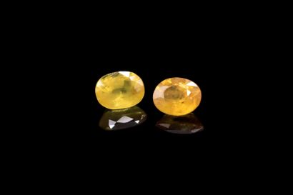 null Pairing of oval yellow sapphires on paper. 
Total weight : 0.19 ct

Average...