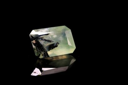 Rectangular prehnite with cut sides on paper....