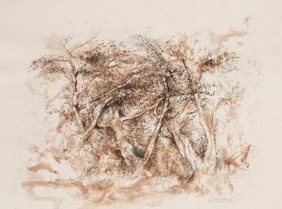 null PASTOR Gilbert (1932-2015)
Lot de 30 dessins (paysages, arbres, sentiers...)
Certains...