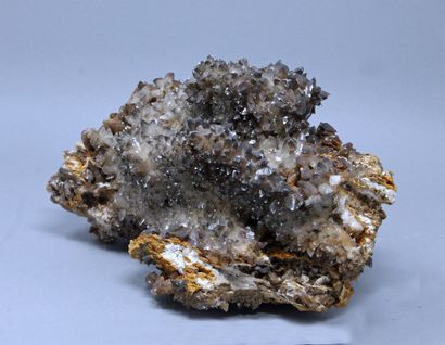 null Calcite : parterre de scaléboèdres bruns à extrémité claire (1982)
Mine Monteponi,...