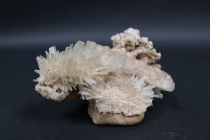 null Gypse. Double cristallisation : cristaux blancs en "fer de lance" translucides...