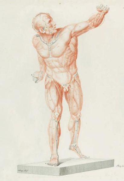 SALVAGE (Jean-Galibert) Anatomie du gladiateur combattant, applicable aux beaux-arts,...
