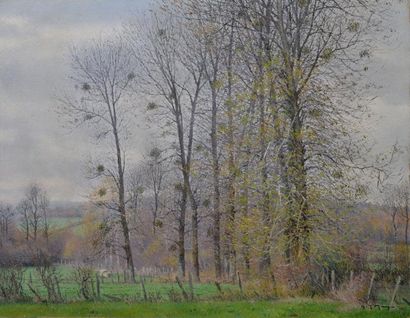 MASSON HENRI JACQUES, 1908-1995 Prés et arbres Huile sur toile, signée en bas à droite,...