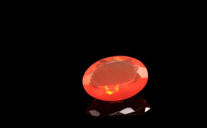 Large oval fire opal on paper. 
Weight :...