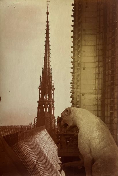 Notre-Dame de Paris 
Sur le toit : vue de...