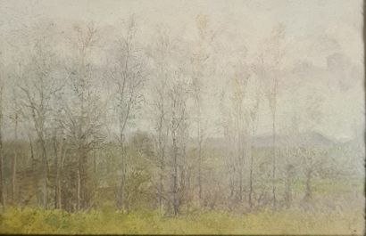 null PIGNOLAT Pierre (1838-1913), attribué à
Paysages
deux huile sur papier formant...