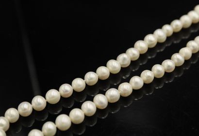 Collier de perles d'eau douce baroques. Le...