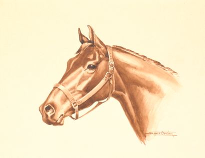 CARTIER Jacques, 1907-2001,
Tête de cheval...