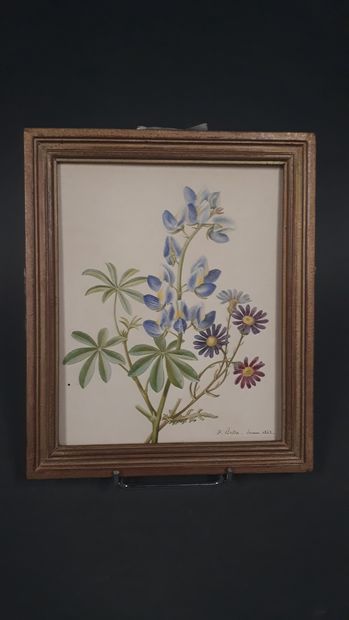 null BESSA Pancrace 
Paris 1772 - Écouen 1846

Bouquet de fleurs sur sa tige avec...