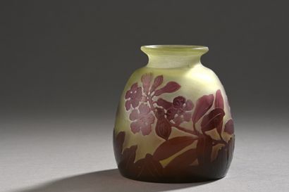 ETABLISSEMENTS GALLE (1904 - 1936) 
	Vase...