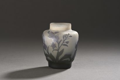 ETABLISSEMENTS GALLE (1904-1936) 
Petit vase...