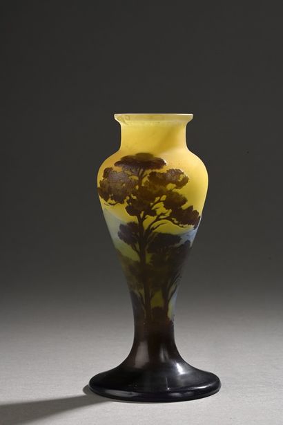 ETABLISSEMENTS GALLE (1904 - 1936) 
Vase...