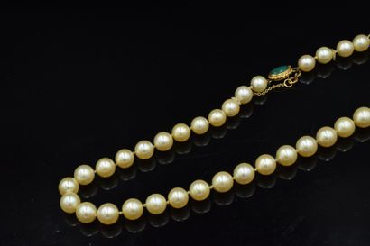null Fallen cultured pearl necklace. The clasp in 18K (750) yellow gold adorned with...