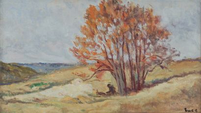 Maximilien LUCE, 1858 -1941 Bouquet d'arbres à l'automne Huile sur toile, cachet...