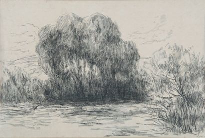 Maximilien LUCE , 1858 -1941 Arbres au bord de l'eau Dessin au crayon noir, signé...