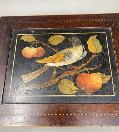 null Wooden case decorated on all sides with stone marquetry panels depicting fruit,...