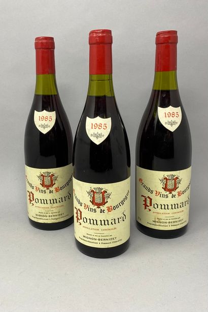 3 	bouteilles 	POMMARD 		Mignon-Bernizet...