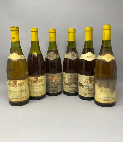 6 	bouteilles 	BOURGOGNE BLANCS 	DIVERS 	Pouhin-Seurre...