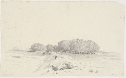 Alberto PASINI, 1826 -1899 Les environs du Caire Dessin au crayon noir (rousseurs),...