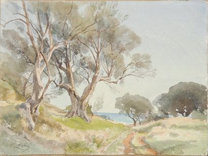 Henri ZUBER, 1844 -1909 Les oliviers au Cap d'Antibes, 1900 Aquarelle, signée en...