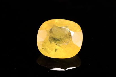 null Large yellow cushion sapphire on paper. 
Weight: 5.54 cts. 

Dimensions: 11...