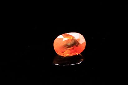 Oval orange sapphire on paper. 
Weight: 1.09...