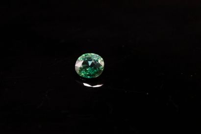 Oval blue-green sapphire on paper.
Weight...