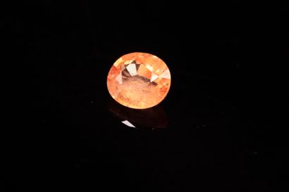 Oval, slightly salmon-colored orange sapphire...