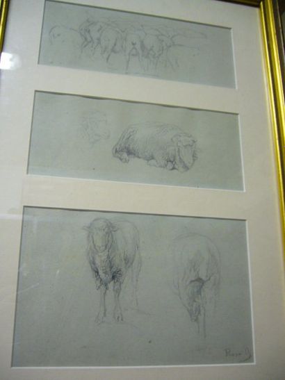 BONHEUR, Rosa (1822-1899) Moutons, Trois études à la mine de plomb sur papier bleu...