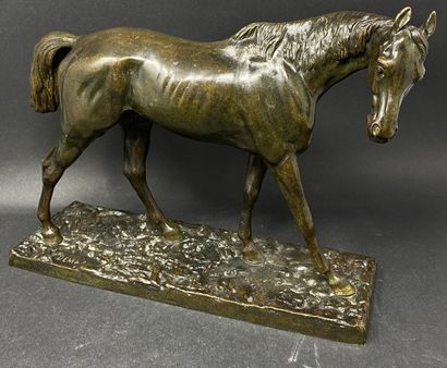 DEMAS (XIX-XX)
Cheval,
épreuve en bronze...