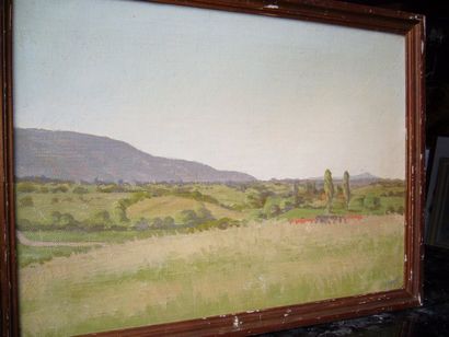 SHALUT Paysage, huile sur toile, signée en bas à droite, 33 x 46 cm. 