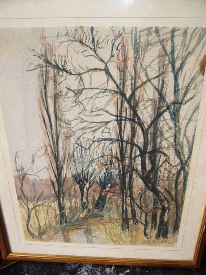 VIOLLIER J.P. (XXème siècle) Les arbres, aquarelle, signée en bas à droite, 36 x...
