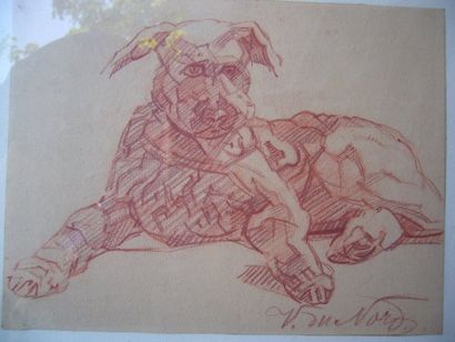 du NORD V. (XXème siècle) Le chien, dessin à la sanguine, signé en bas à droite,...