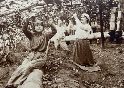 null Viticulture
Cueillette du raisin sous les vignes, c. 1900
Tirage argentique...