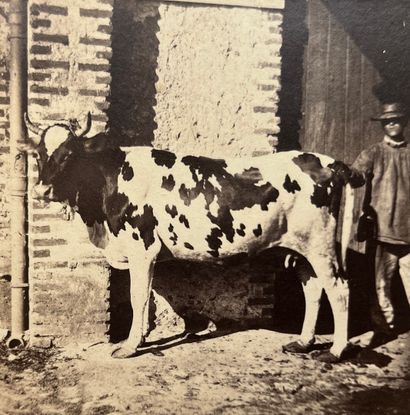 null Constant Alexandre FAMIN (1827-1888)
Étude animalière, vaches, c. 1870
2 tirages...