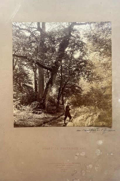 null William Drooke HARRISON (?- 1893) 
Forêt de Fontainebleau, c. 1870 
Tirage albuminé...