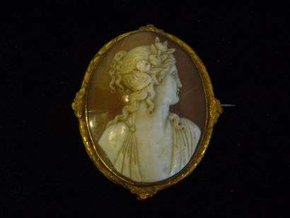 null Broche ornée d'un camée coquille ( fêle ) figurant un portrait de jeune femme...