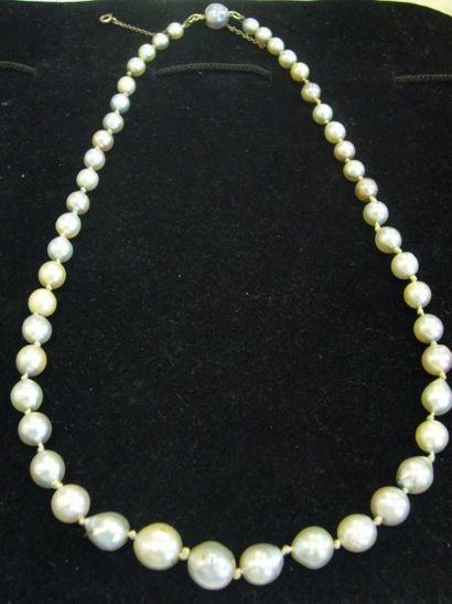 null Collier de perles grises, baroques en chute, or jaune. Fermoir dans une perle....