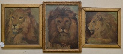 JOBBE-DUVAL J., atelier de, JOBBE-DUVAL J., atelier de, 
Lions
Trois huile sur toiles...