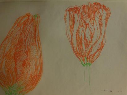 ABRAM RONALD (NÉ EN 1938) Tulipan Série de 13 sérigraphies sur papier calque ou Arche,...