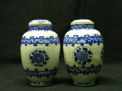 null Paire de pots à thé en porcelaine bleu-blanc à décor de médail - lons floraux...